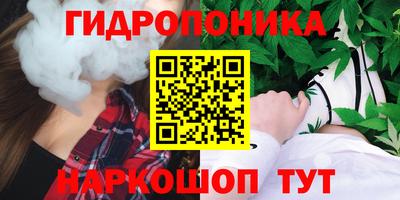 шишки Пугачёв
