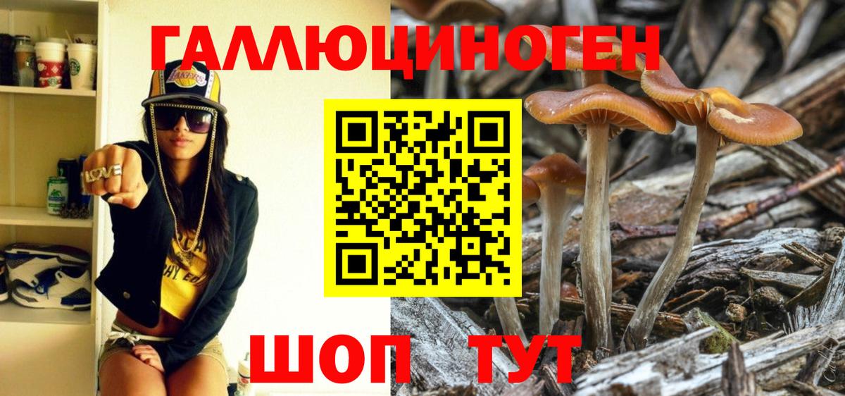 Галлюциногенные грибы прущие грибы Сергиев Посад
