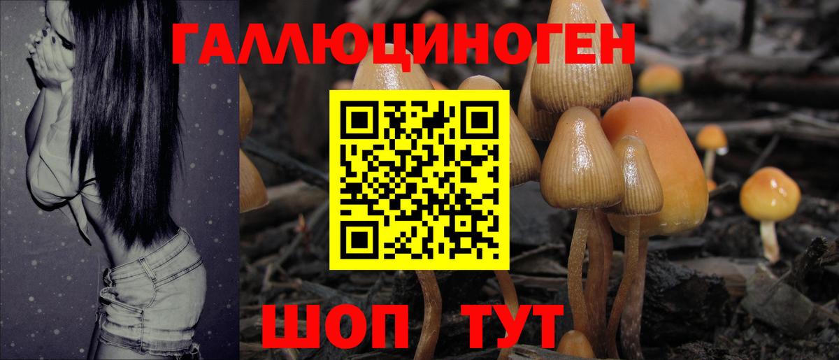 купить закладку  Вход с VPN  Сергиев Посад  Псилоцибиновые грибы Magic Shrooms  Галлюциногенные грибы мухоморы 